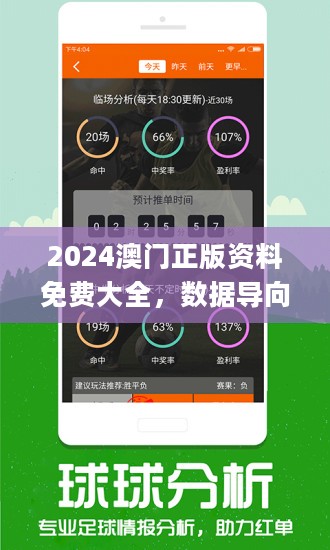 新澳門王中王100%期期中,靈活操作方案設計_精英款85.239