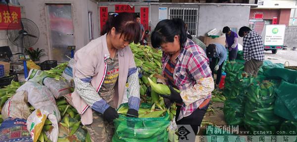 橫縣最新新聞報道，城市發展與民生改善齊頭并進