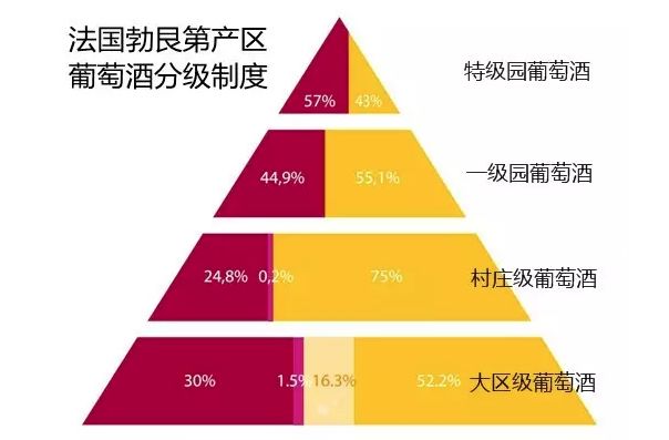 2024澳門今天特馬開什么,快速解答方案執行_特別款55.29