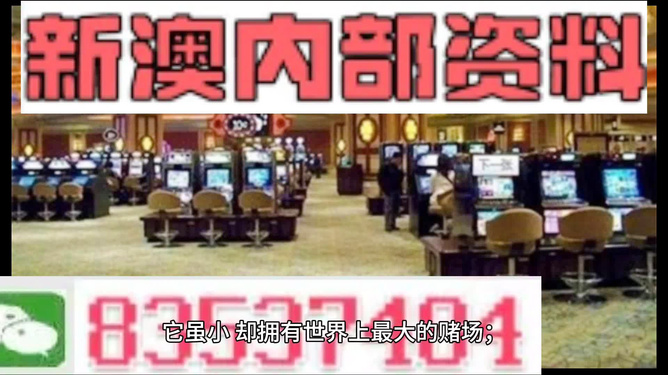 2024新澳精準(zhǔn)正版資料,動態(tài)調(diào)整策略執(zhí)行_V版14.773