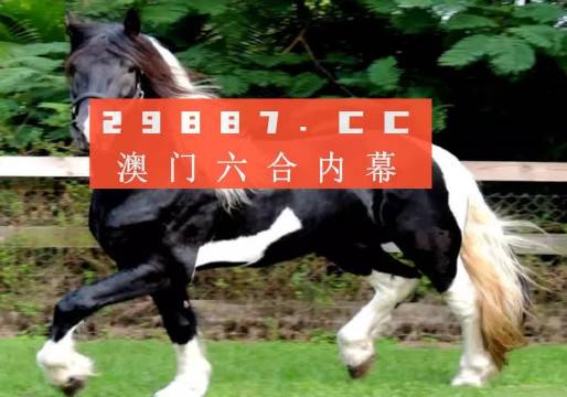 澳門今晚必開一肖一特,可靠信息解析說明_高級款34.344