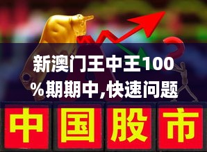 新澳門王中王100%期期中,動態調整策略執行_mShop42.999