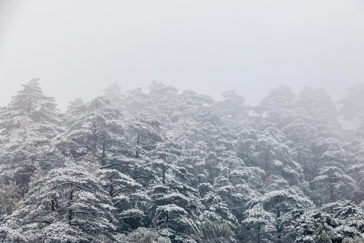 千渡東山晴最新動態揭秘