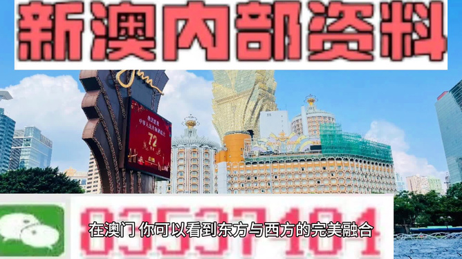 2024年新澳資料免費(fèi)公開,廣泛的解釋落實(shí)支持計(jì)劃_頂級(jí)款74.273