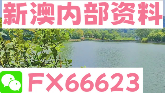 新澳精準(zhǔn)資料免費(fèi)提供265期｜高速應(yīng)對(duì)邏輯