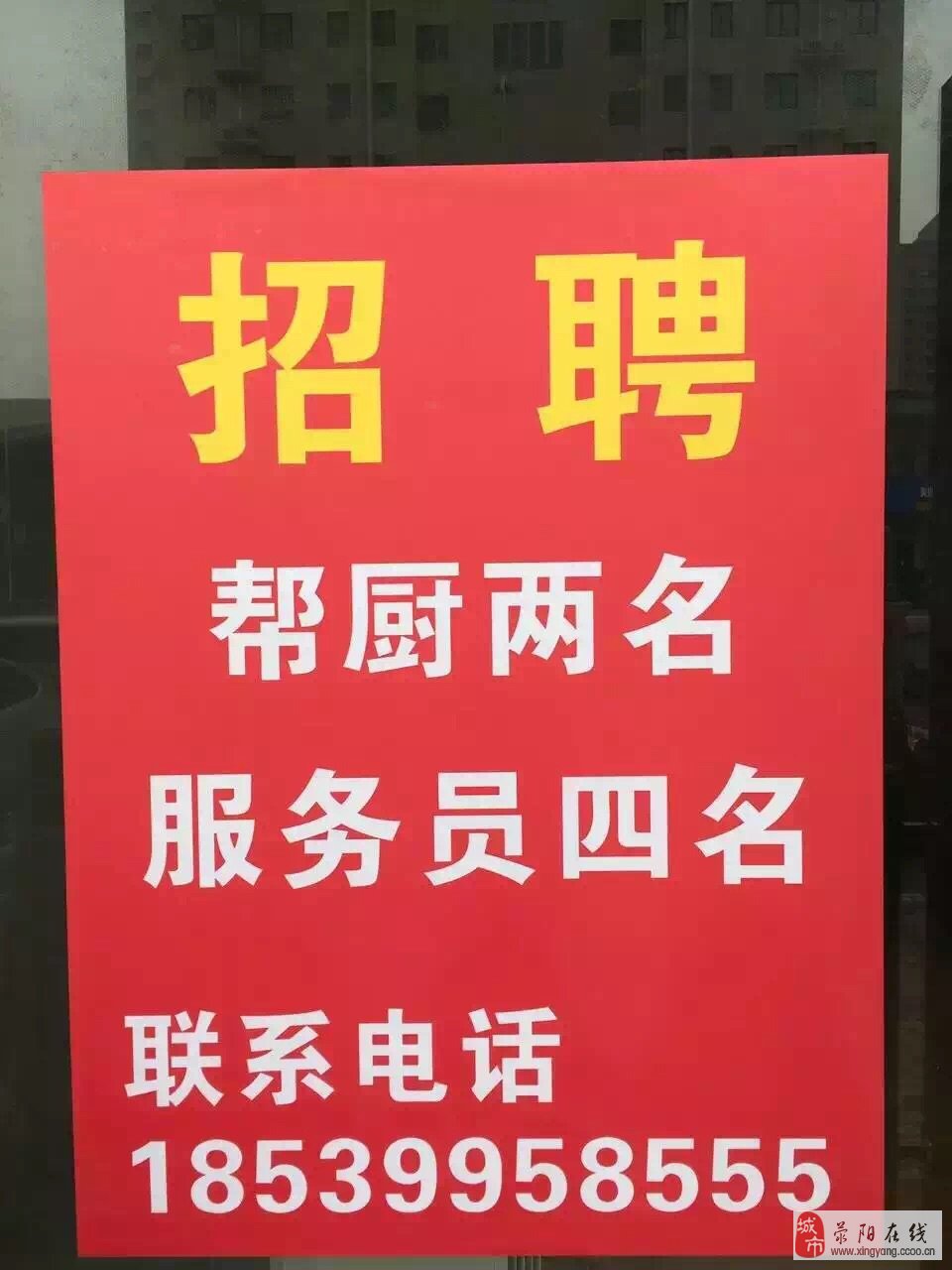 滎陽在線最新招聘，職業(yè)發(fā)展無限可能