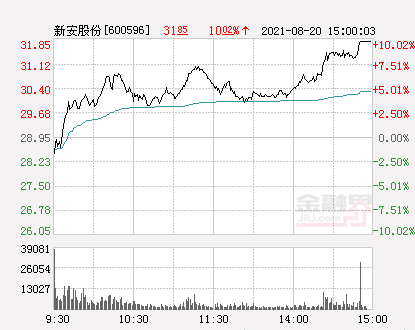 新安股份最新動(dòng)態(tài)全面解析