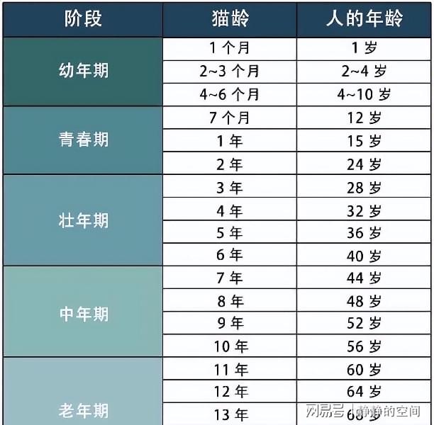 最新年齡段劃分揭示人類生命新階段特征